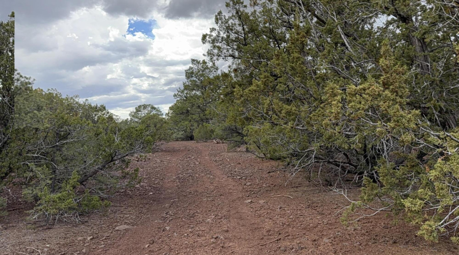 More Clearence on property