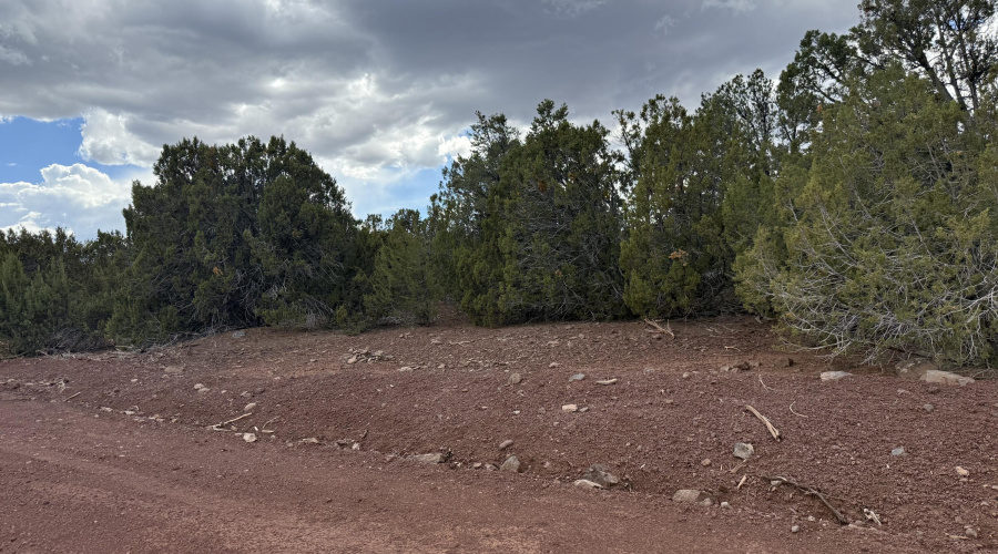 road view of front property to the left