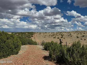 TBD Falcon Drive, Taylor, Arizona 85939, ,Land,For Sale,Falcon,257999