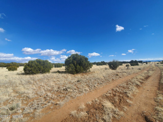 8 County Road 5203, Concho, Arizona 85924, ,Land,For Sale,County Road 5203,258048