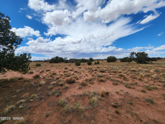 5386 County Road N5386, St. Johns, Arizona 85936, ,Land,For Sale,County Road N5386,258045