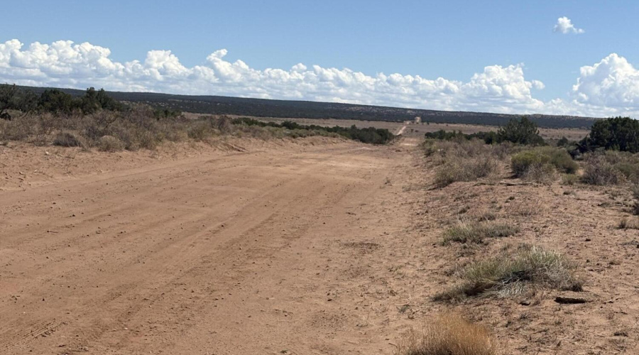 Looking East from Driveway