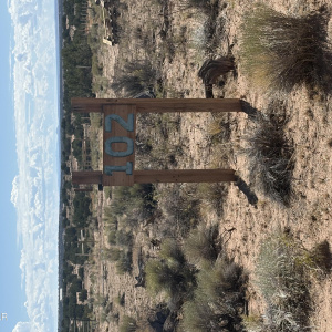 102