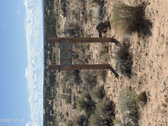 102 County Road N 6287, St. Johns, Arizona 85936, ,Land,For Sale,County Road N 6287,258049