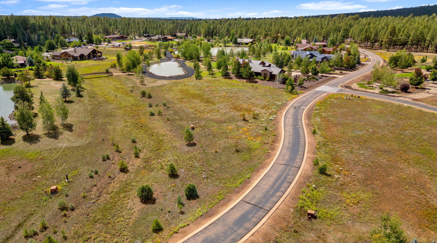9585SierraSpringsDr-Pinetop-AZ-9