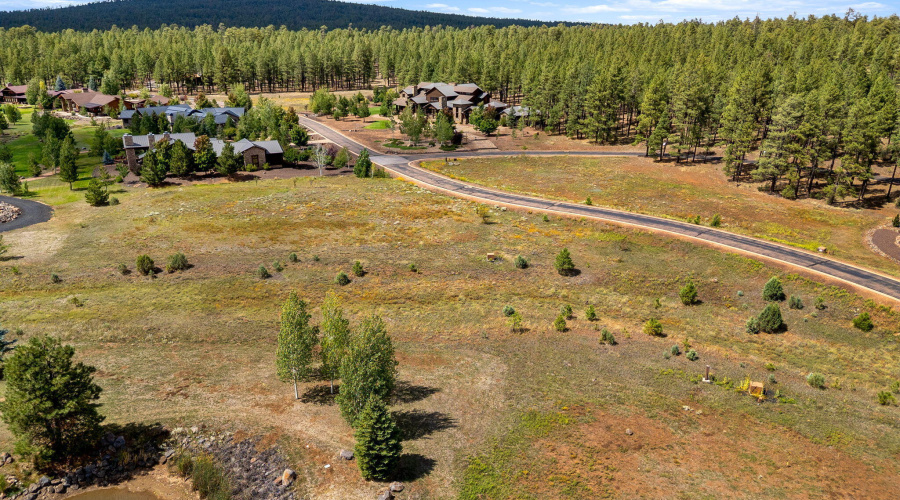 9585SierraSpringsDr-Pinetop-AZ-10