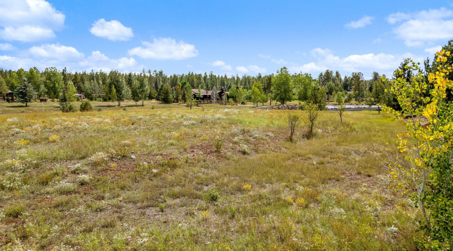 9585SierraSpringsDr-Pinetop-AZ-15