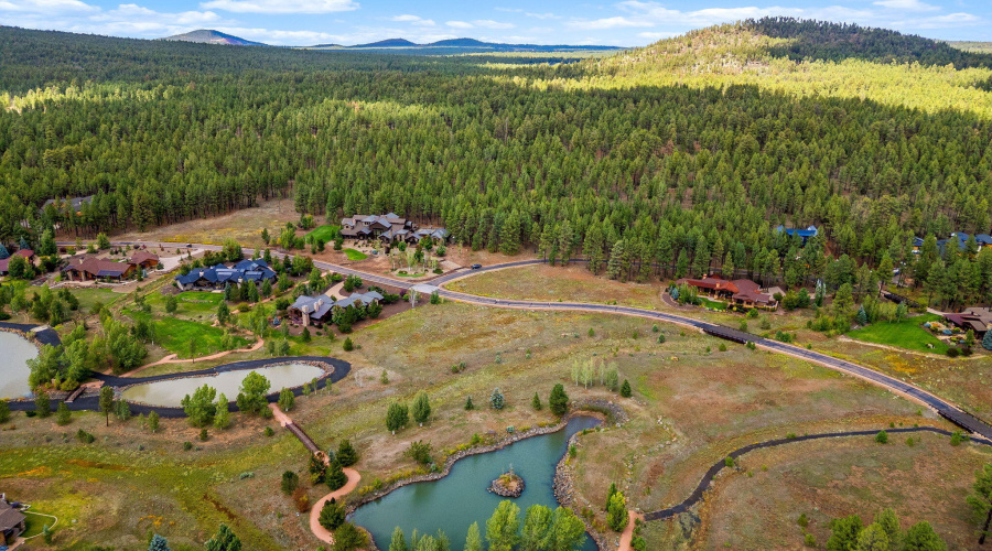 9585SierraSpringsDr-Pinetop-AZ-4