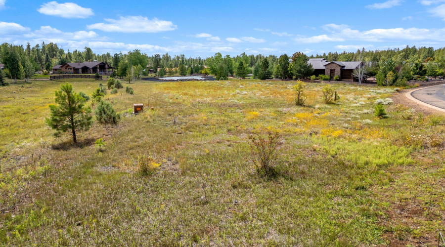 9585SierraSpringsDr-Pinetop-AZ-13