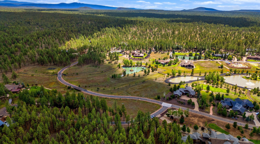 9585SierraSpringsDr-Pinetop-AZ-2