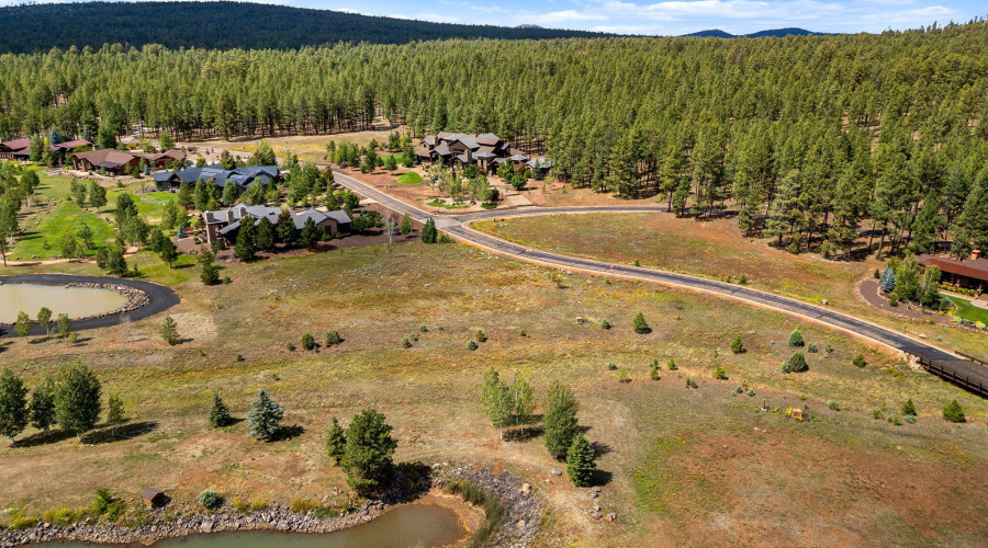 9585SierraSpringsDr-Pinetop-AZ-8