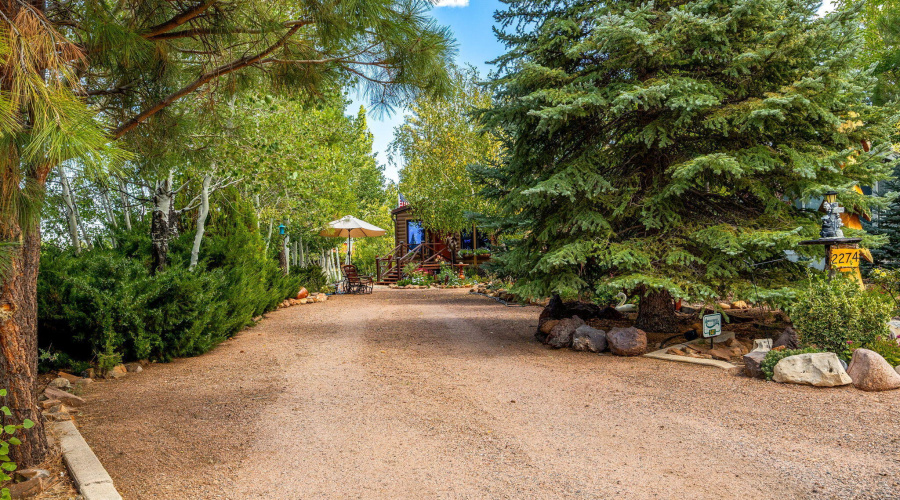 2274WaterNHoleRd-HeberOvergaard-AZ-4