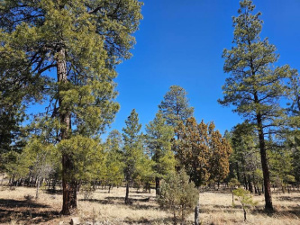 2591 Katies Way, Happy Jack, Arizona 86024, ,Land,For Sale,Katies Way,91861