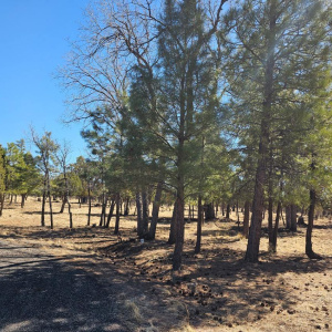.78 Acres