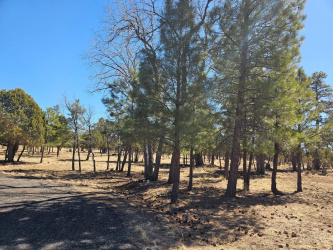 5732 Raton Circle, Happy Jack, Arizona 86024, ,Land,For Sale,Raton,91862