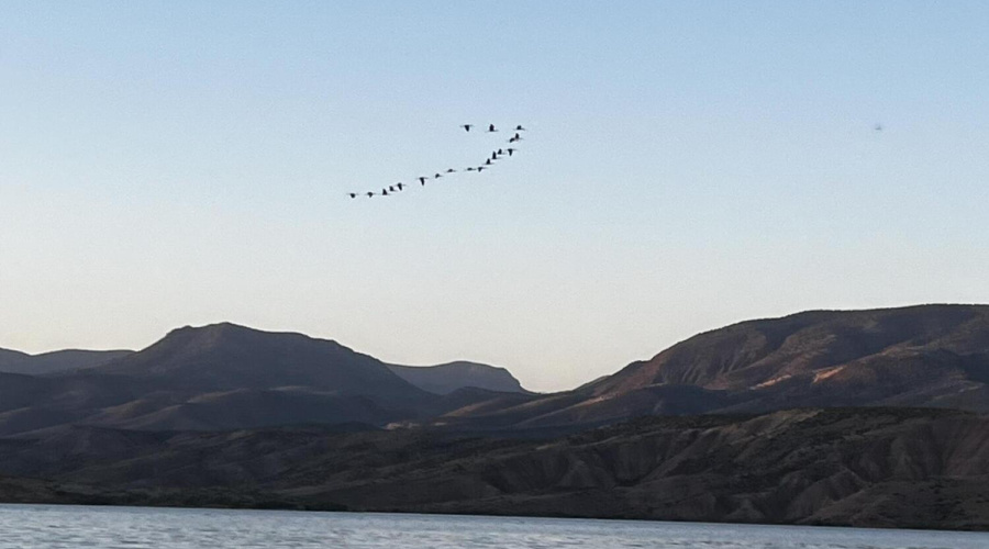 Just minutes to Roosevelt Lake!