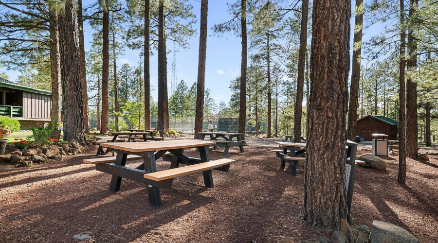 18 Picnic Tables