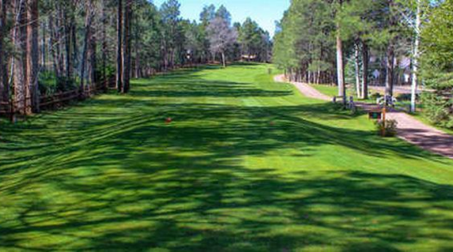 21 Pinetop Lakes Public Golf course