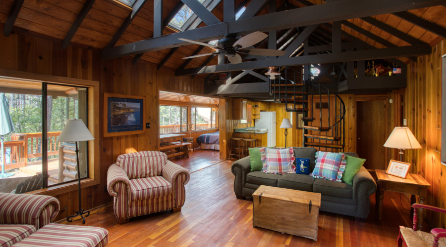 Paxmanphoto_PAX_3086