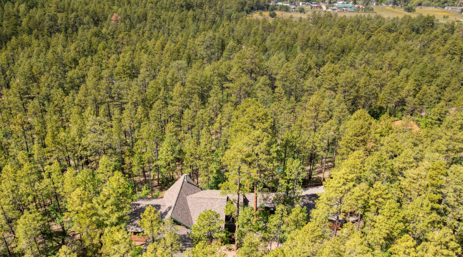 Paxmanphoto_DJI_0895