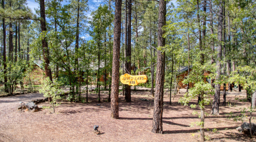 Paxmanphoto_PAX_3153