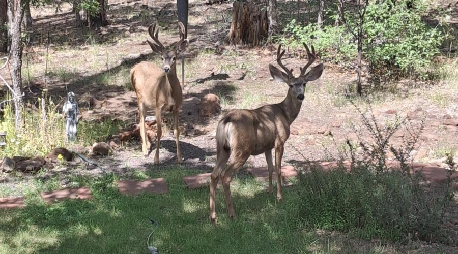 Resized_20250831_135653