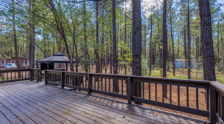 032_photo32_3551_ah_ho_pine_dr_ls_85929_