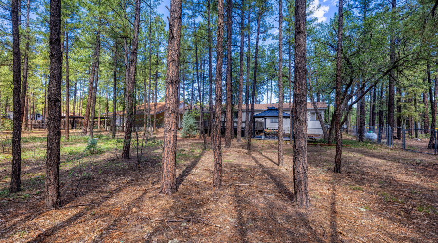 037_photo37_3551_ah_ho_pine_dr_ls_85929_