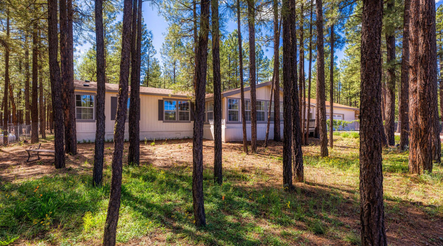 008_photo8_3551_ah_ho_pine_dr_ls_85929_s