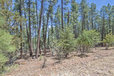 lot 138 Marcy Way, Pine, Arizona 85544, ,Land,For Sale,Marcy Way,92364