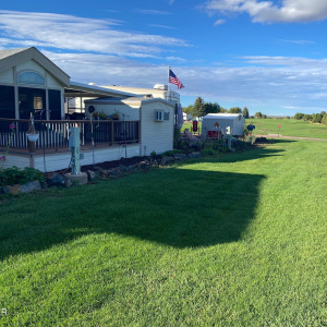 Lot 275 Main Pic