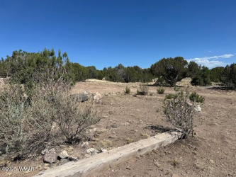 68 County Rd N8171, Concho, Arizona 85924, ,Land,For Sale,County Rd N8171,258075