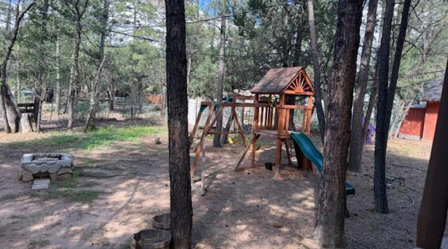 Backyard play area