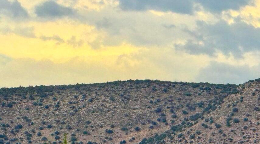 20250715065630645307000000-o