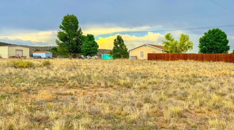 20250715065423995167000000-o