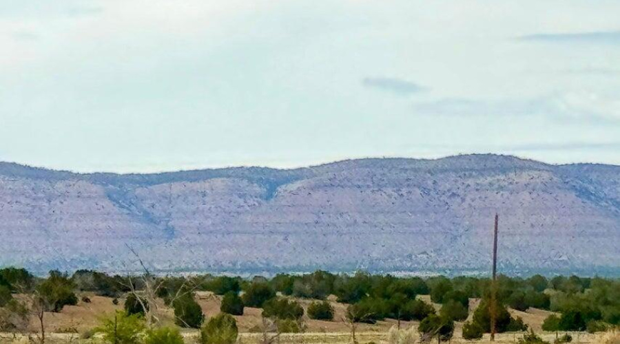 20250715065613957135000000-o