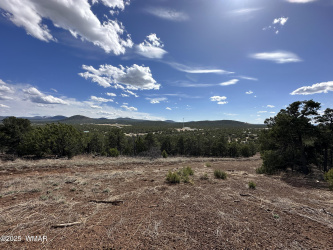 TBD N3135, Vernon, Arizona 85940, ,Land,For Sale,N3135,258098
