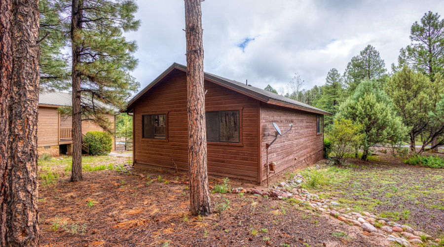 029_photo29_4800_tatanka_loop_sl_85901_j