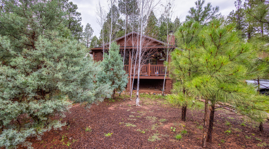 008_photo8_4800_tatanka_loop_sl_85901_je