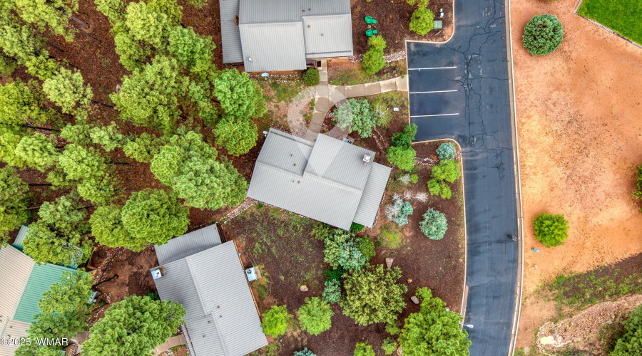 002_photo2_4800_tatanka_loop_sl_85901_je