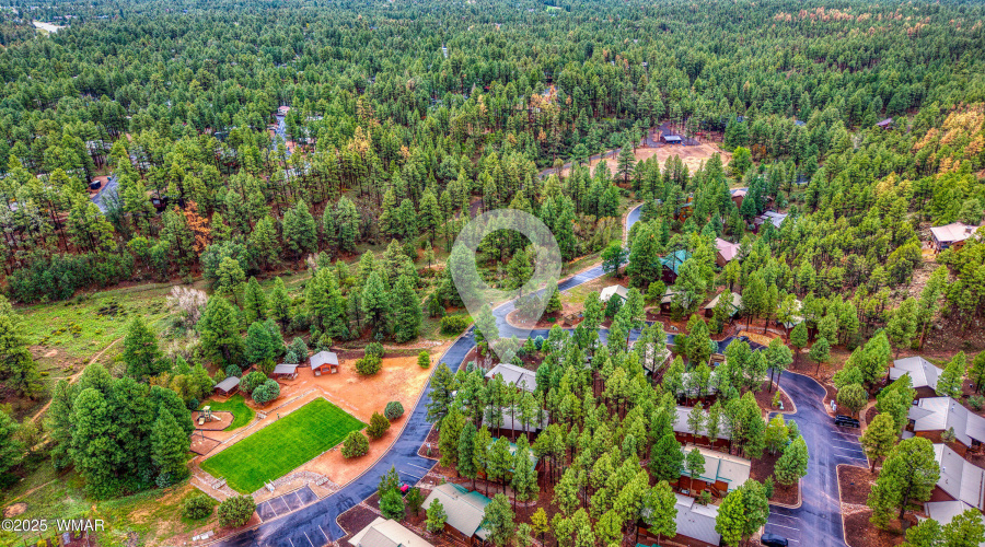 004_photo4_4800_tatanka_loop_sl_85901_je