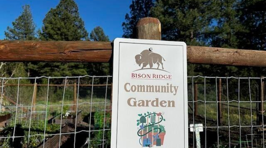 20240621191836936222000000-o