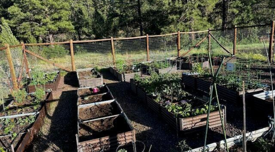 20240621191838623684000000-o