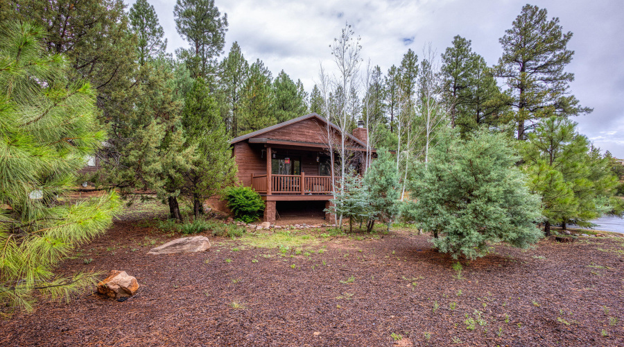 007_photo7_4800_tatanka_loop_sl_85901_je