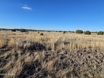Lot 167 County Road 2005, Nutrioso, Arizona 85932, ,Land,For Sale,County Road 2005,258096