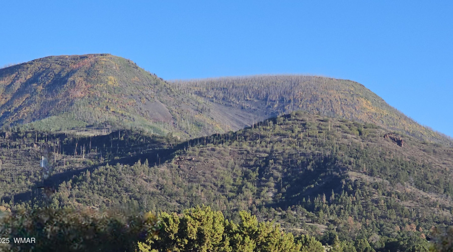 Views from Lot of Escudilla