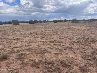 4235 Clydesdale Road, Snowflake, Arizona 85937, ,Land,For Sale,Clydesdale,258089