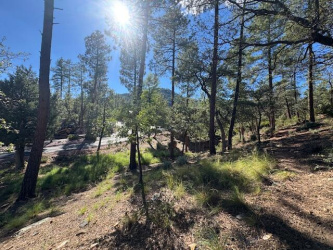 Lot 33 Sage Court, Pine, Arizona 85544, ,Land,For Sale,Sage,92929