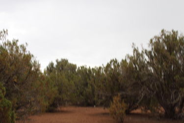 Sec 8 T11N R22E:Port Of Parcel 3 Sur, White Mountain Lake, Arizona 85912, ,Land,For Sale,T11N R22E:Port Of Parcel 3 Sur,92926