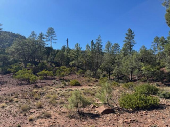 Lot 31 Sage Ct, Pine, Arizona 85544, ,Land,For Sale,Sage Ct,92930